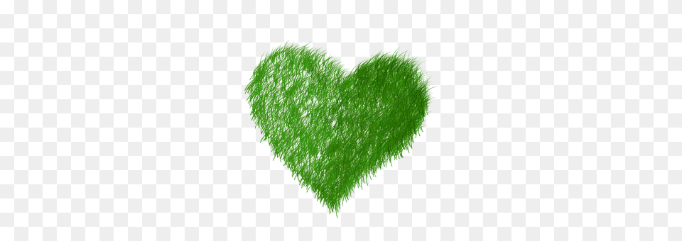 Echo Heart, Green, Plant Free Transparent Png