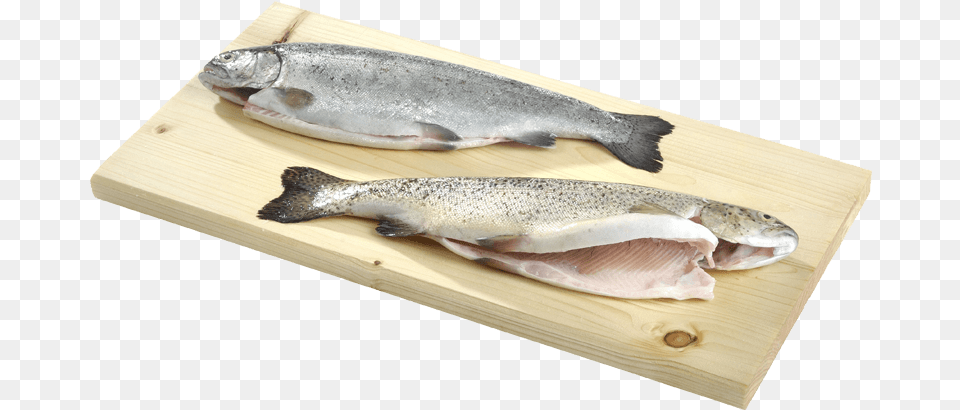 Eciens Seafood Trout Gutted Touladi, Animal, Fish, Sea Life Png