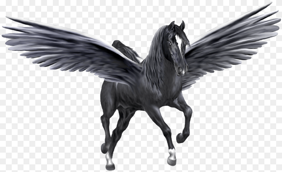 Ecm Pegasus Majesticbeauty1300 Rev, Animal, Horse, Mammal Free Transparent Png