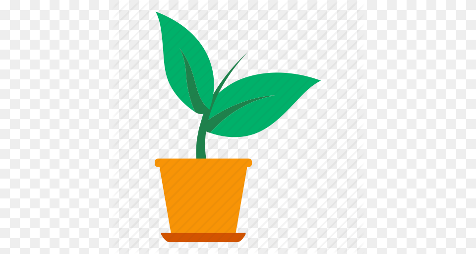 Eco Ecology Flower Nature Plant Pot Sprout Icon, Leaf, Potted Plant Free Png