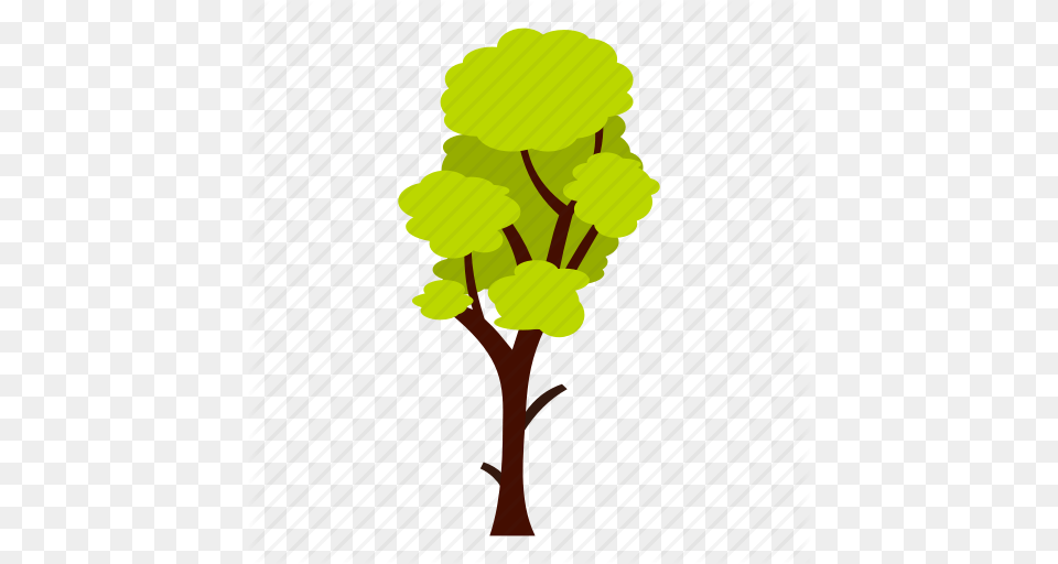 Eco Ecology Leaf Nature Summer Tall Tree Icon, Plant, Flower, Person Free Png Download