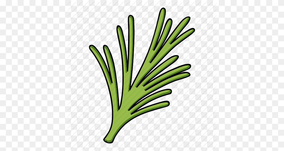 Eco Food Leaf Plant Rosemary Seasoning Spice Icon, Dill, Produce Free Transparent Png
