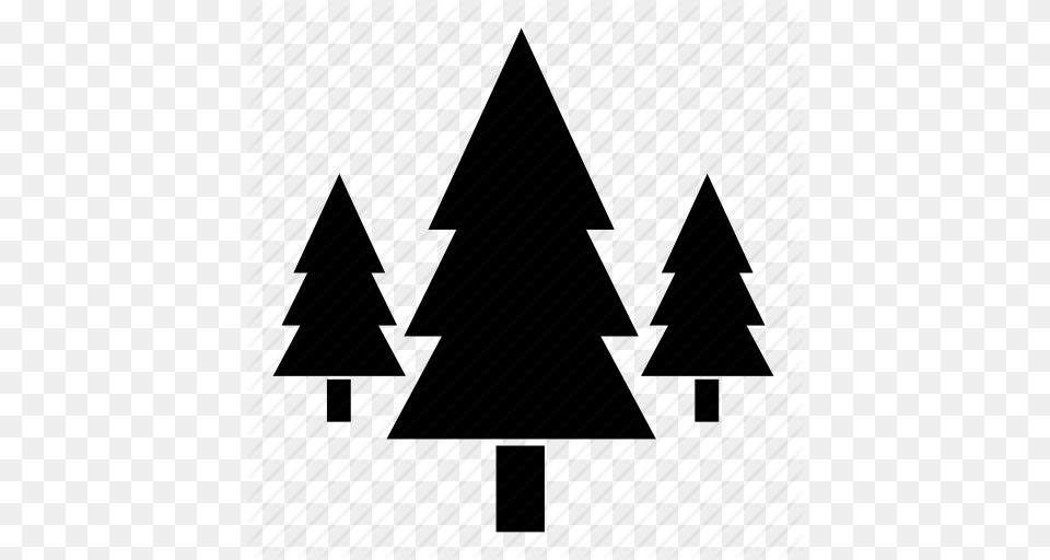 Eco Forest Forrest Pine Plant Tree Trees Icon, Triangle, Weapon Free Transparent Png