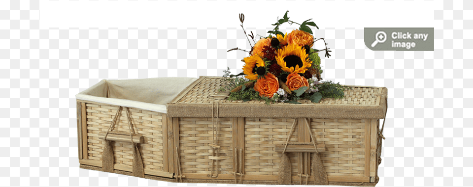 Eco Friendly Infant Willow Casket Coffin, Flower, Flower Arrangement, Flower Bouquet, Plant Png Image