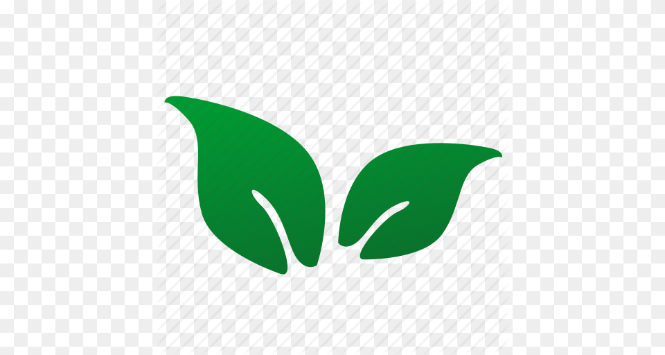 Eco Green Leaf Plant Tea Icon, Herbal, Herbs Png
