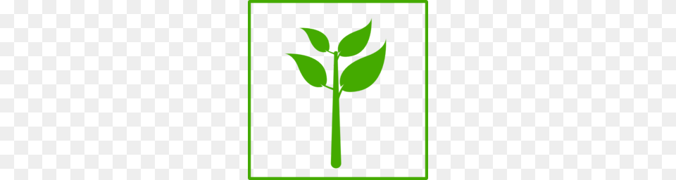Eco Green Plant Icon Clipart, Herbal, Herbs, Leaf Free Png Download