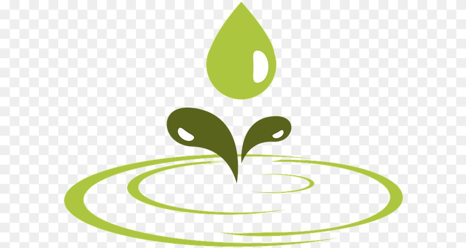 Eco Green Water Drop Vector, Droplet, Leaf, Plant Png Image