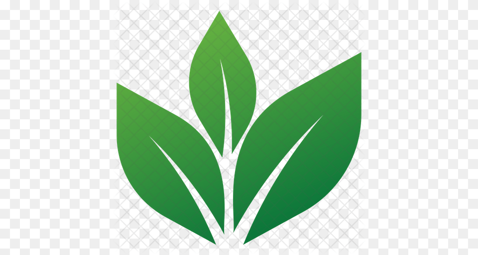 Eco Leaves Icon Of Flat Style Temple Of Apollo, Green, Herbal, Herbs, Leaf Free Png Download