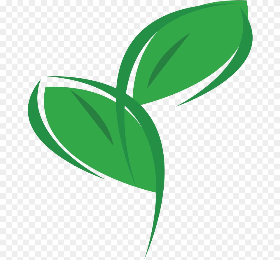Eco Logo Leaves Eco Friendly, Green, Herbal, Herbs, Leaf Free Png Download