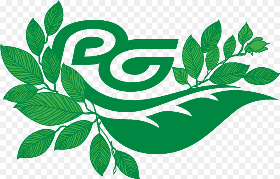 Eco Logo The Prolific Groupthe Prolific Group Language, Green, Herbal, Herbs, Leaf Free Png Download