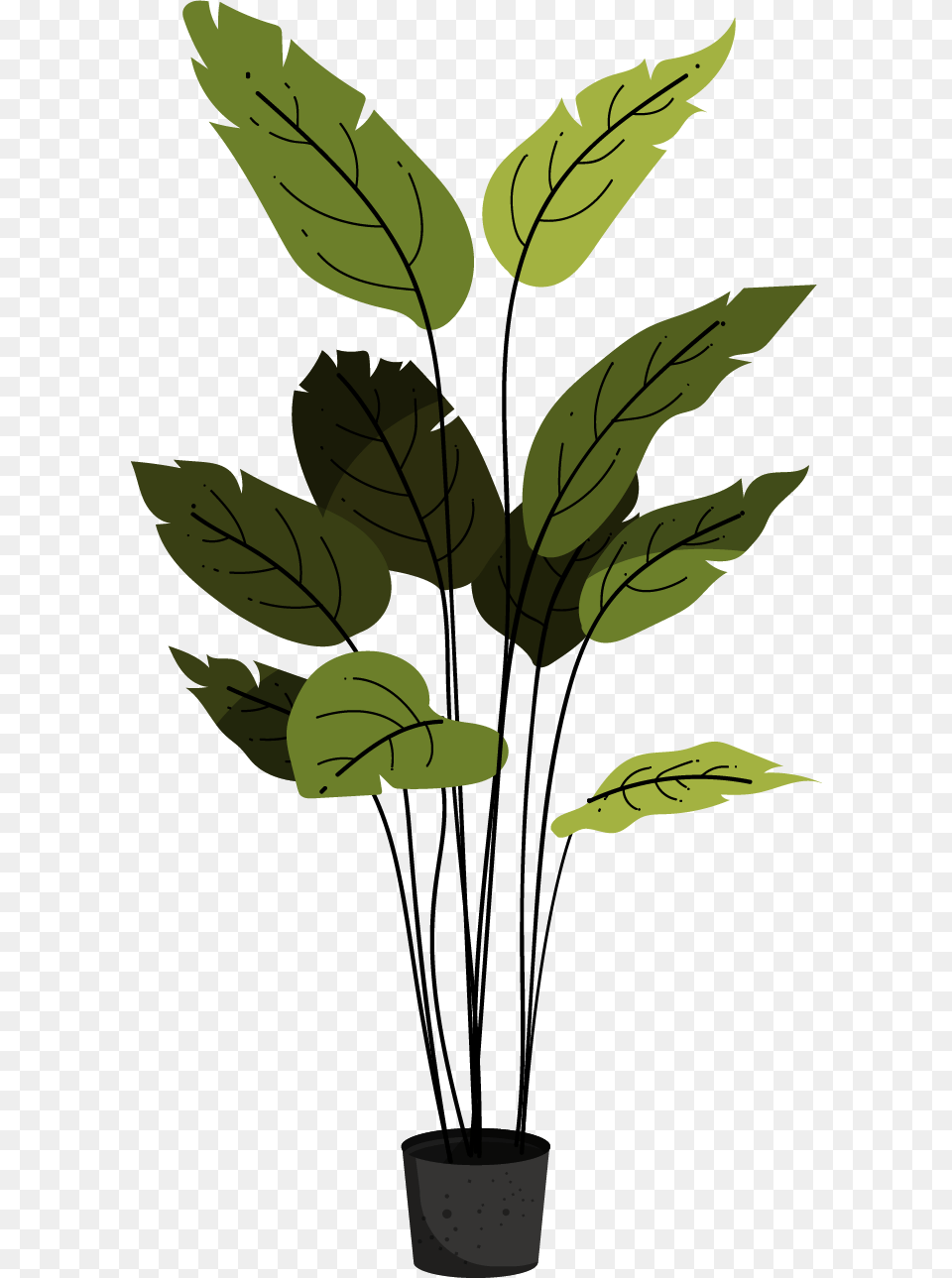 Eco Plants, Leaf, Plant, Tree, Herbal Png