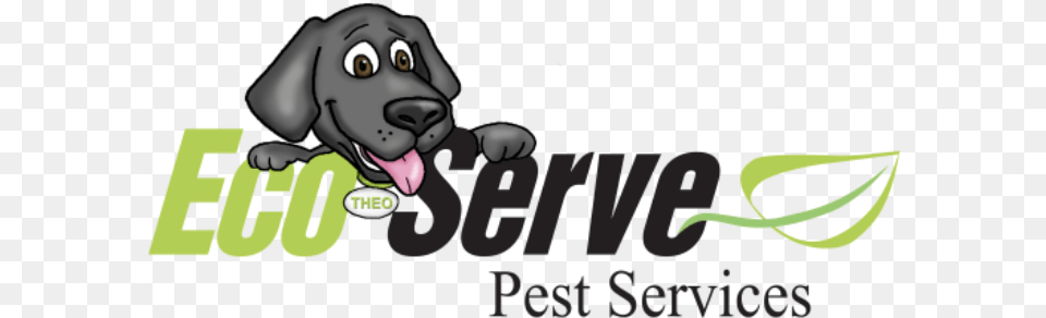 Eco Serve Pest Services One Direction Quotes, Baby, Person, Face, Head Free Png Download