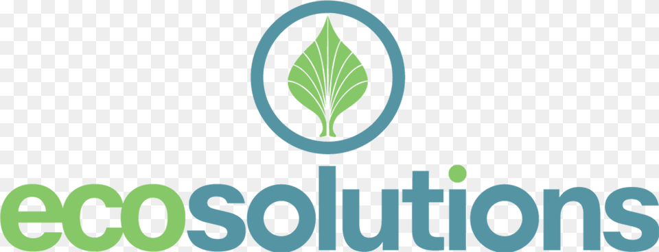 Eco Solutions Cnn, Leaf, Plant Png Image