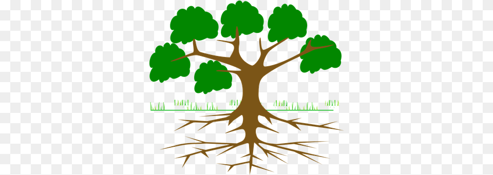 Eco U0026 Recycle Vectors Pixabay Tree With Roots Cartoon, Plant, Root, Person Png