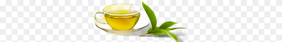 Eco Valley Organic Green Tea Darjeeling Tea, Beverage, Green Tea, Cup, Herbal Free Transparent Png