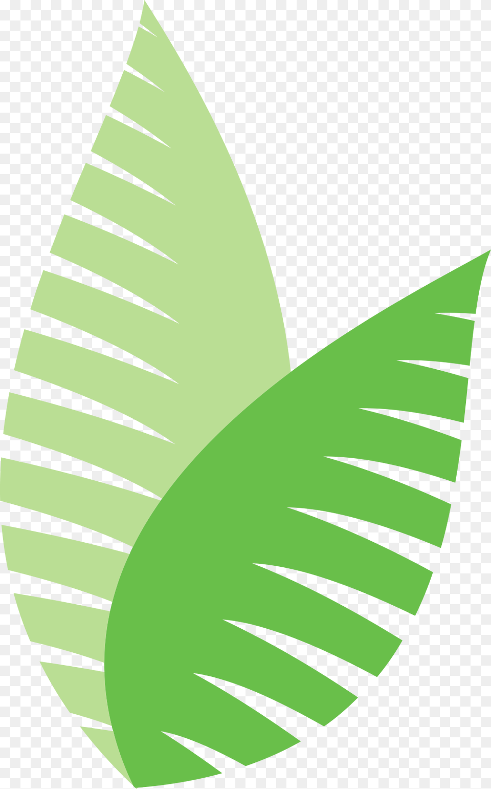 Ecodesign Pflanze Farn Graphic Design, Leaf, Plant, Green, Animal Free Png Download