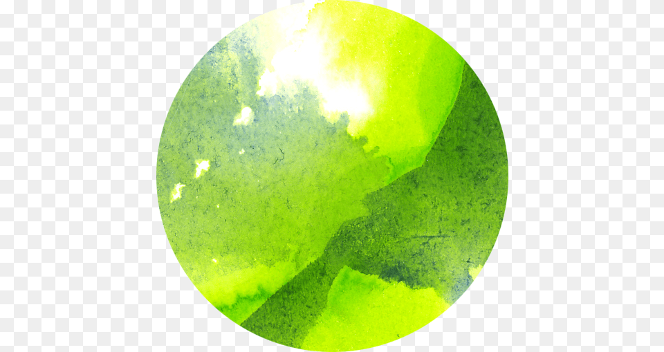 Ecoline Grass Green And Fir Green Watercolor Semi Circle Transparent, Sphere, Algae, Plant, Accessories Free Png Download