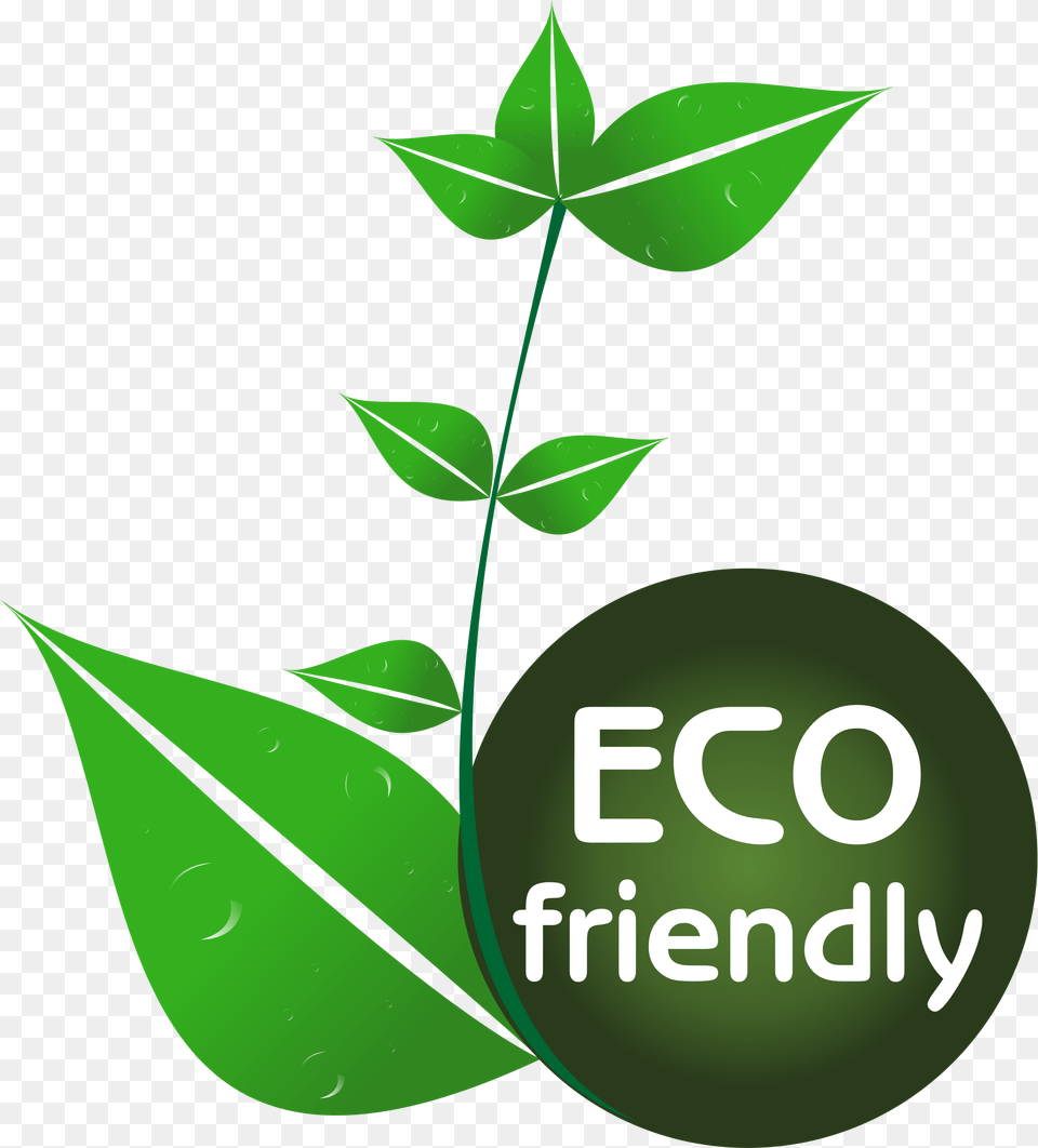 Ecologically Friendly Clipart, Green, Herbal, Herbs, Leaf Png Image