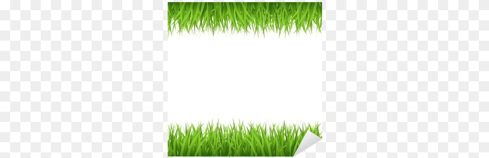 Ecology Border, Grass, Green, Lawn, Plant Free Transparent Png