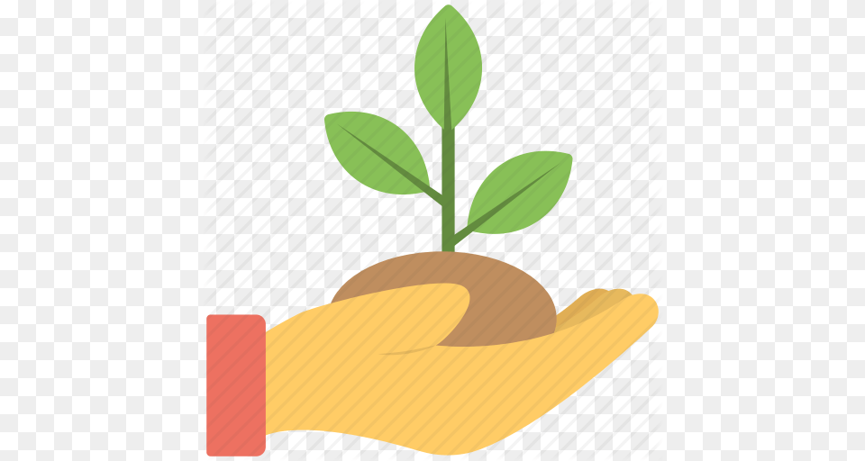 Ecology Concept Green Foliage Greenery Leaves Mint Leaf Tree, Herbal, Herbs, Plant, Potted Plant Free Transparent Png