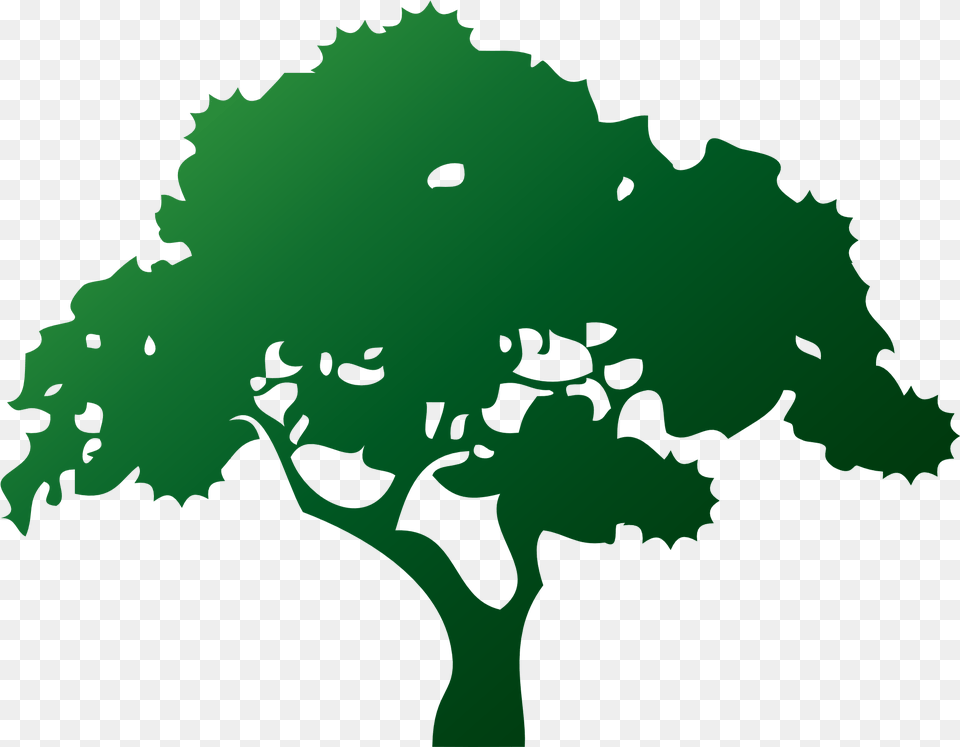 Ecology Environment Tree Drawing Pohon Cdr, Green, Oak, Plant, Sycamore Png