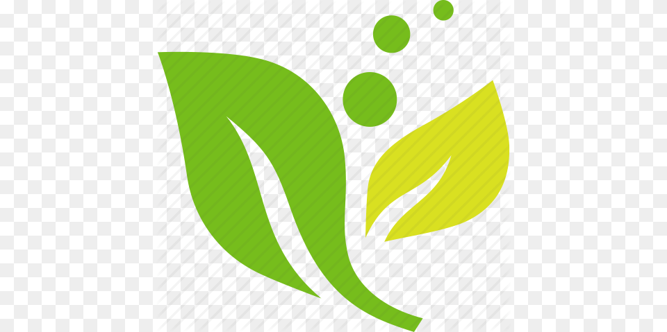 Ecology Environmental Green Leaves Plant Icon, Tennis Ball, Ball, Tennis, Sport Free Png