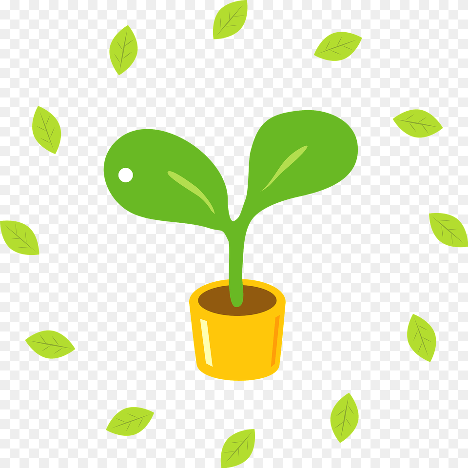 Ecology Sprout Leaves Clipart, Leaf, Plant, Green, Potted Plant Free Transparent Png