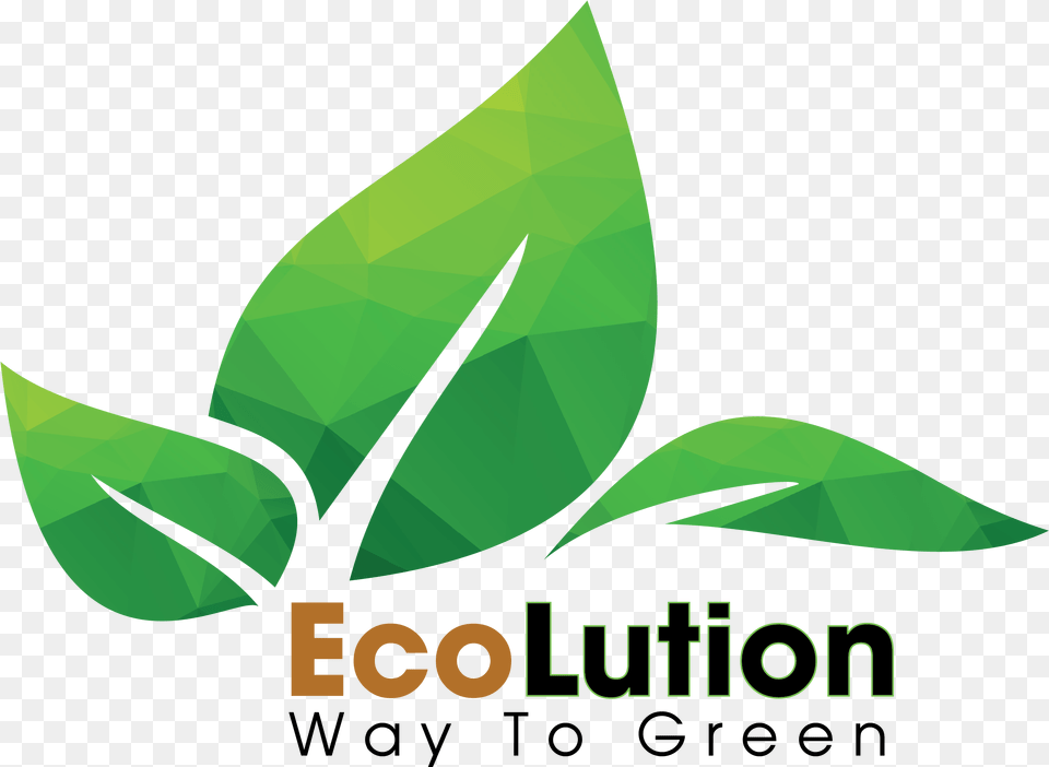 Ecolution Vietnam Ecolution Vietnam Rationalfx, Green, Herbal, Herbs, Leaf Png