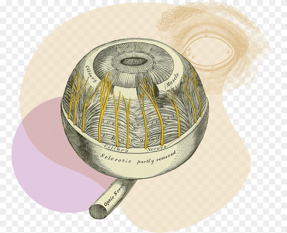 Ecommerce Purchase Frequency Circle, Sphere, Art, Astronomy, Outer Space Png