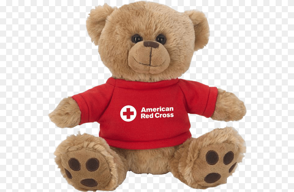 Economist Teddy Bear, Teddy Bear, Toy, Plush Free Png Download