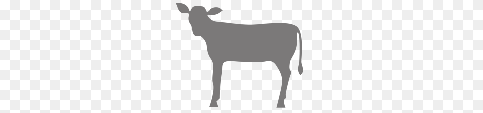 Economy Calf, Gray Png Image