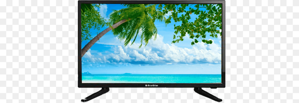 Ecostar Cx 19u521 19 Inch Led Tv Price In Pakistan, Computer Hardware, Electronics, Hardware, Monitor Free Png Download