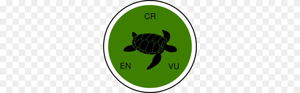 Ecosystem Cultural Service Endangered Species Habitat Clip Art, Animal, Reptile, Sea Life, Tortoise Free Png