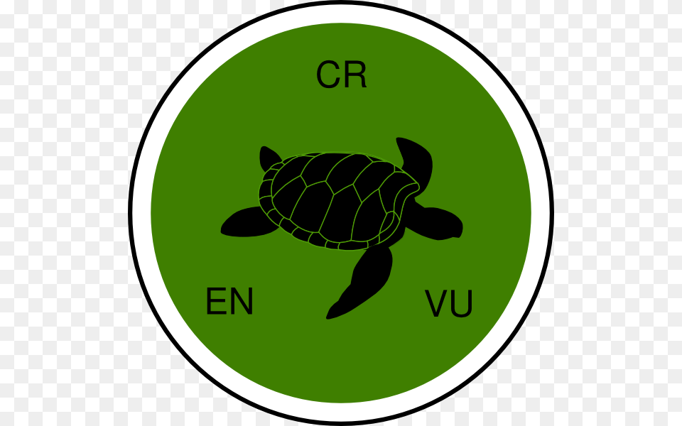 Ecosystem Cultural Service Endangered Species Habitat Clip Art, Animal, Reptile, Sea Life, Turtle Free Transparent Png