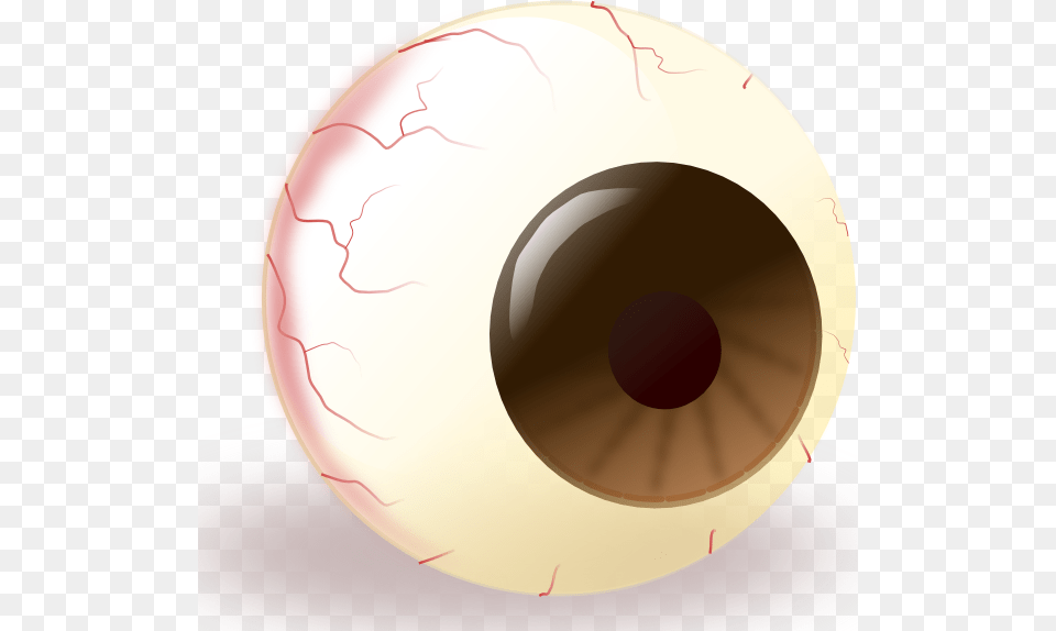Ecuabron Brown Eye Clip Bulbo Oculare, Sphere, Disk Png Image