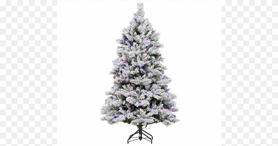 Ed On Air Santa39s Best 539 Flocked Spruce Tree By Ellen Christmas Tree, Christmas Decorations, Festival, Plant, Christmas Tree Png