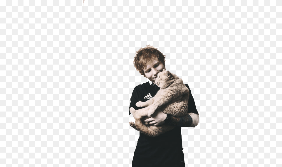Ed Sheeran Cat And Ed Image Ed Sheeran And Cat Fat, Portrait, Photography, Person, Head Free Transparent Png