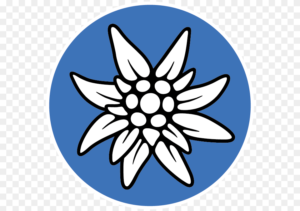 Edelweiss, Dahlia, Flower, Plant, Nature Png Image