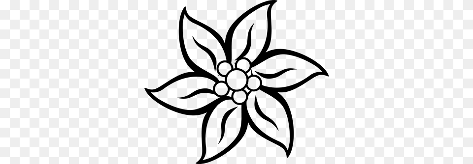 Edelweiss, Gray Free Transparent Png