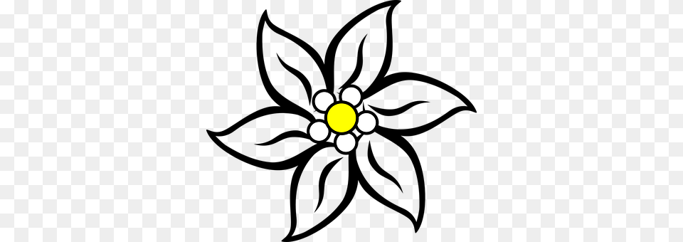 Edelweiss Anemone, Daisy, Flower, Plant Free Transparent Png