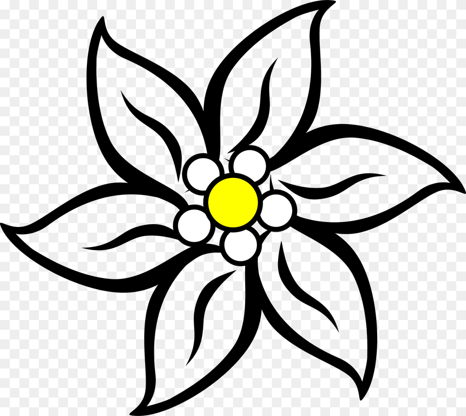 Edelweiss Clipart, Anemone, Art, Daisy, Floral Design Free Png Download