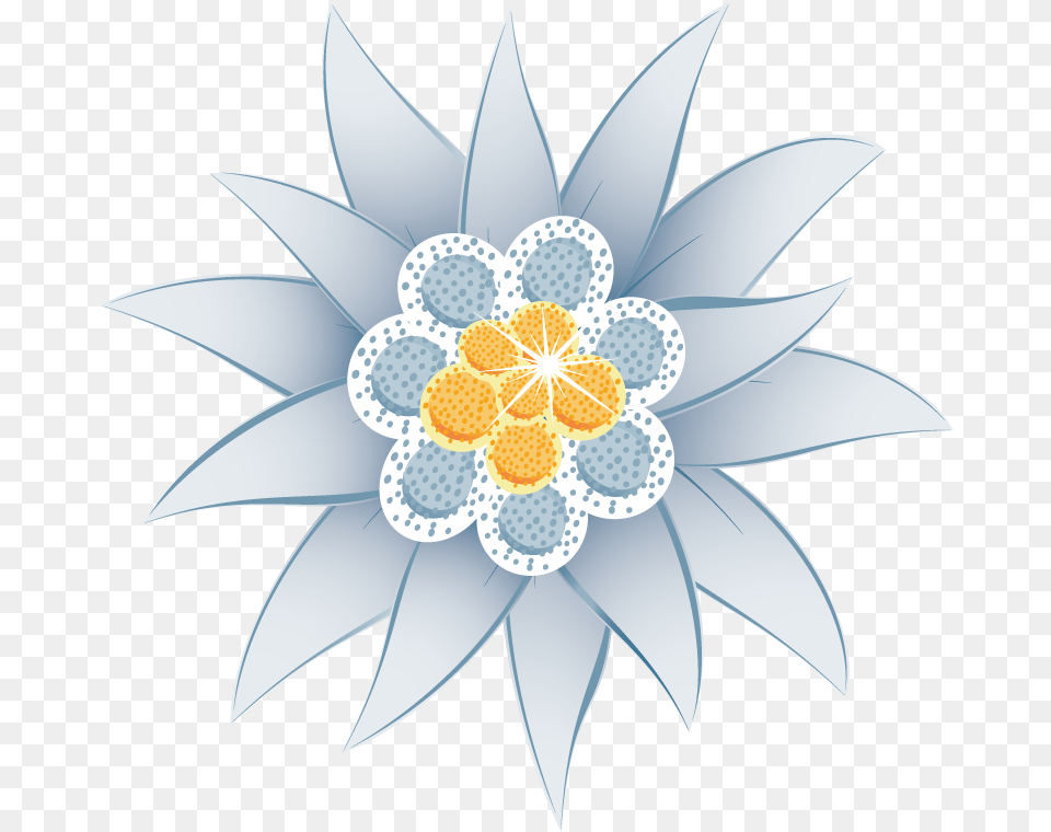 Edelweiss Flower Clipart Edelweis, Floral Design, Pattern, Plant, Daisy Free Png Download