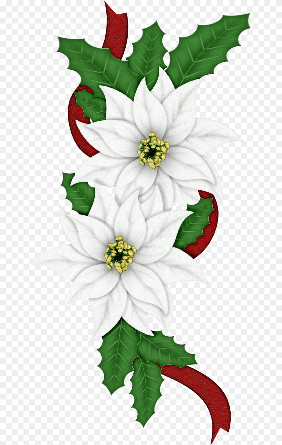 Edelweiss Flower Images Christmas Edelweiss, Leaf, Pattern, Plant, Art Free Png