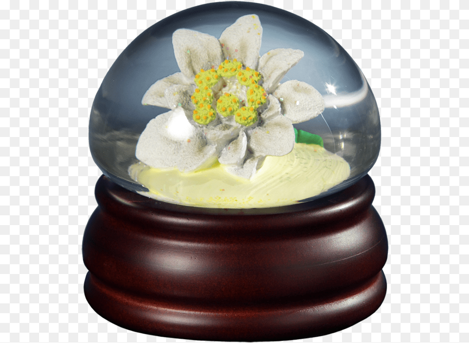 Edelweiss Flower Mushroom Wgclass Lazyload None Jasmine, Food Presentation, Food, Icing, Cream Png