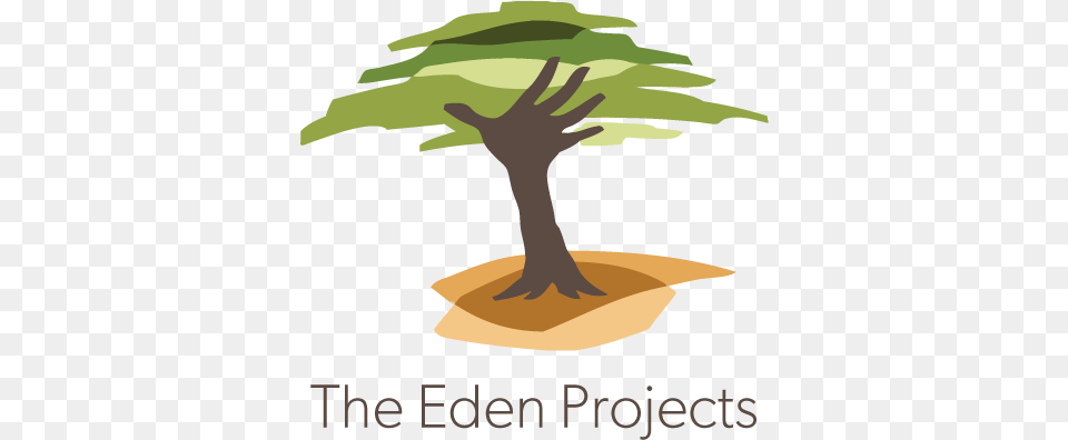 Eden Eden Reforestation Projects, Plant, Potted Plant, Tree, Vegetation Free Png Download
