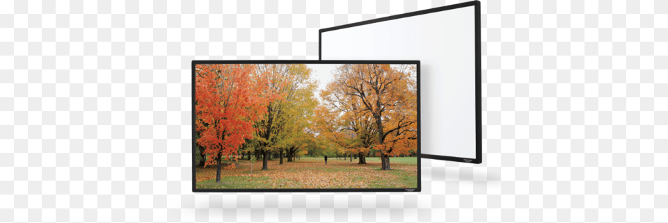 Edge 4k Ultra Narrow Bezel Frame Grandview Fixed Frame, Electronics, Tree, Screen, Plant Free Png