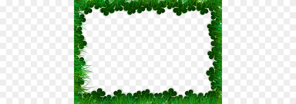 Edge Grass, Green, Plant, Moss Free Png