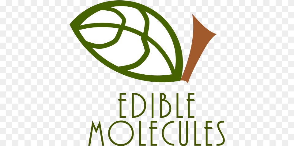Edible Molecules, Plant, Leaf, Bud, Flower Free Transparent Png