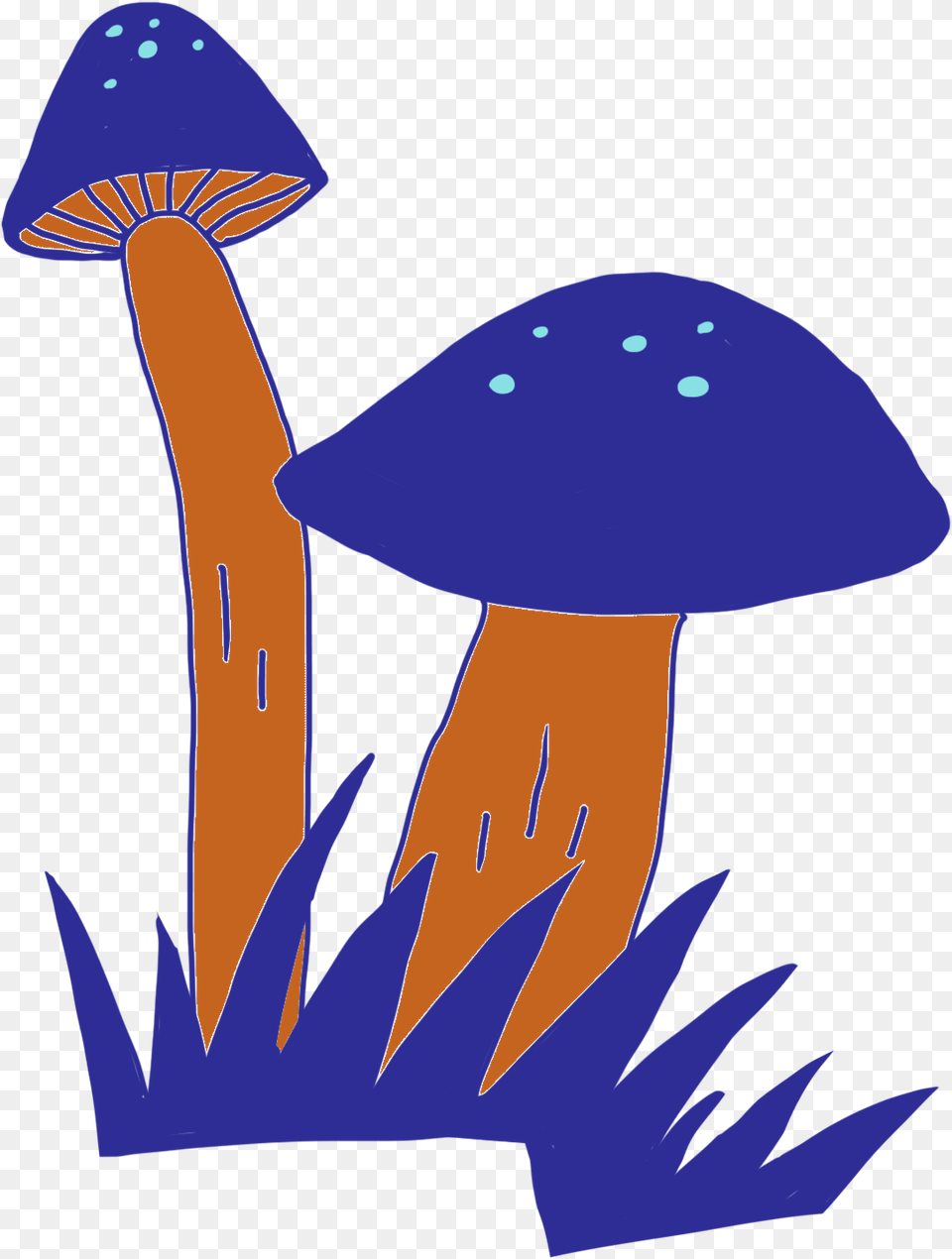 Edible Mushroom, Person, Agaric, Fungus, Plant Png