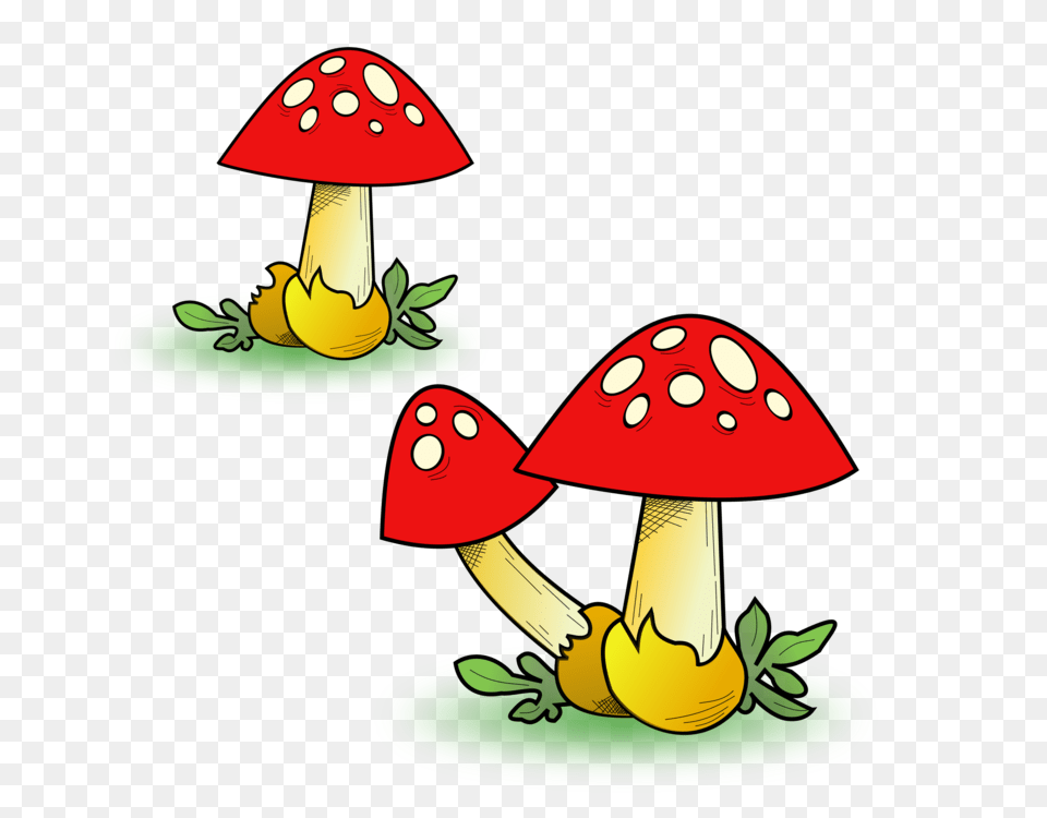 Edible Mushroom Common Mushroom Fungus True Morels, Plant, Agaric Png Image